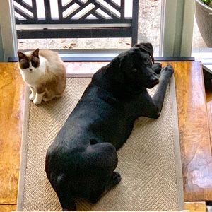 Meet your Posher, Grace